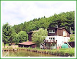 Haus Stettner: Ferienwohnung am Damwildgehege - Sommerimpression