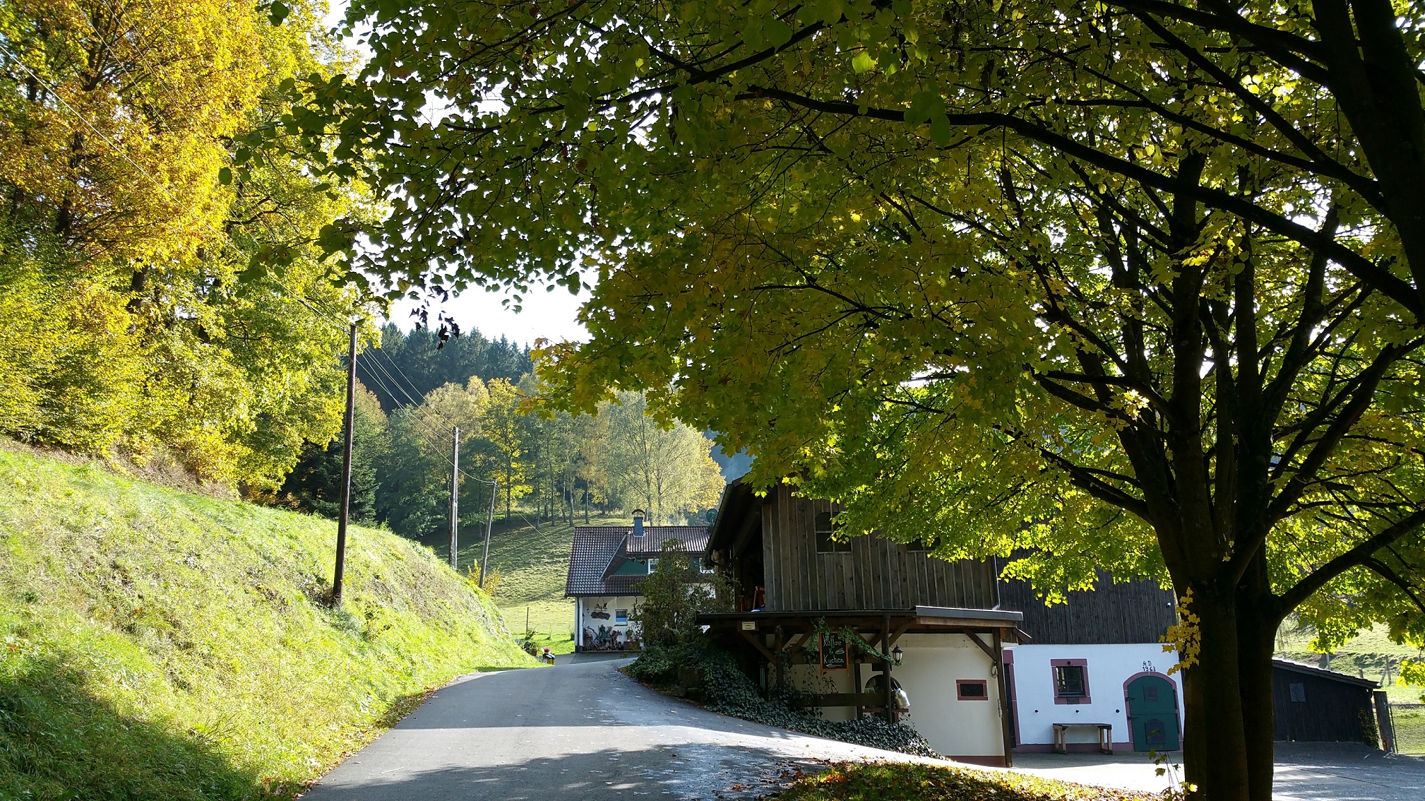 Haus Stettner: Umgebung