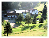 Haus Stettner: Ferienwohnung am Damwildgehege - Sommerimpression