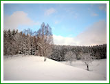 Haus Stettner: Ferienwohnung am Damwildgehege - Winterimpression