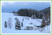 Haus Stettner: Ferienwohnung am Damwildgehege - Winterimpression
